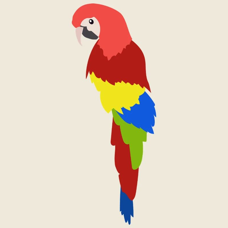 Colorful Parrot Tropical Jungle Bird