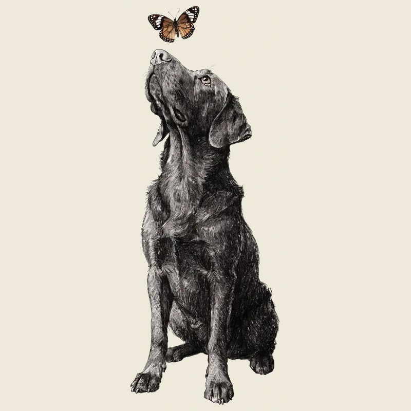 Labrador Illustration mit Schmetterling Hund Labbi