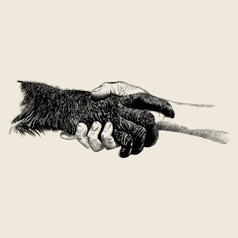 Hands