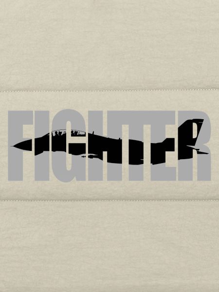 Fighter F-14 Tomcat