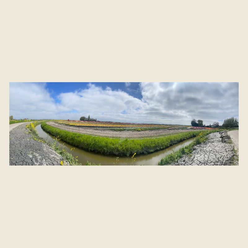 Panoramafeld mit Graben und Blumen