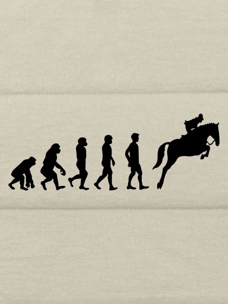 Reiter Evolution