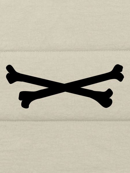 bones