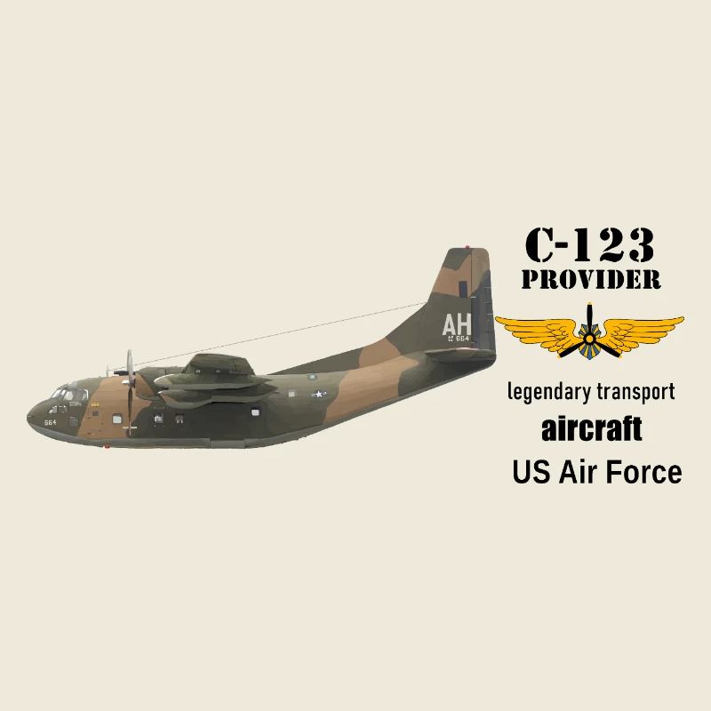 C-123 Provider