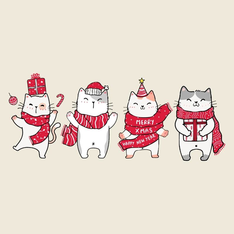 Chat à Noël