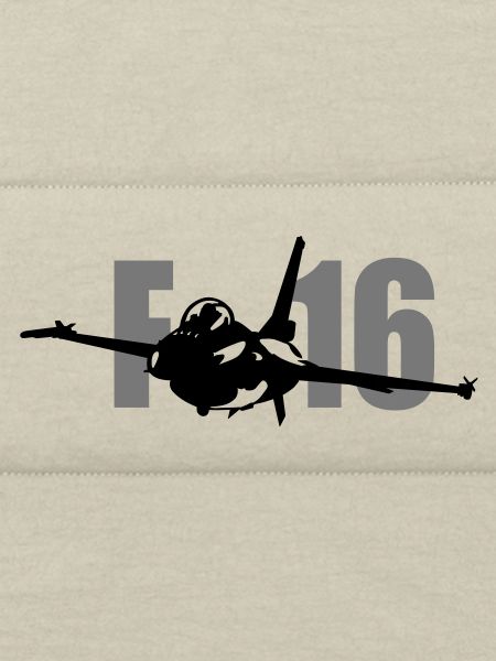 f_16_1
