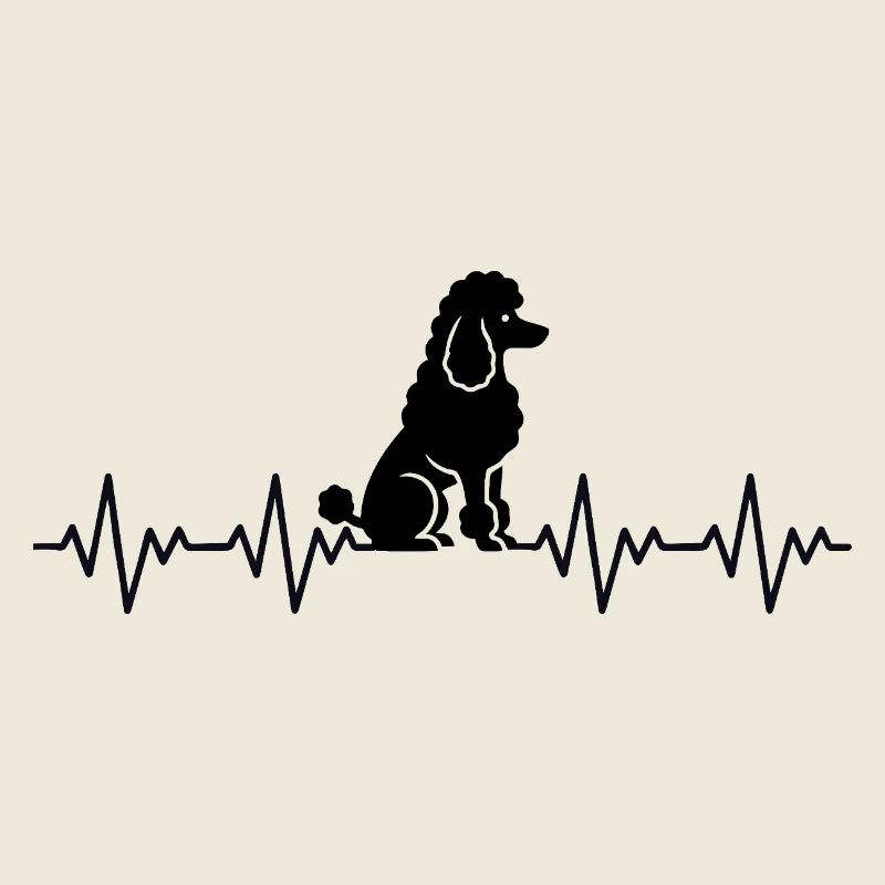Pudel EKG Herzschlag