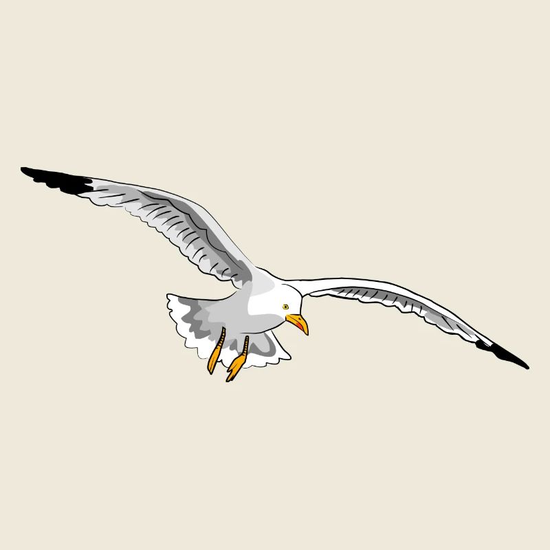 mouette