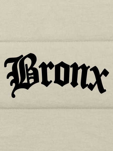 bronx