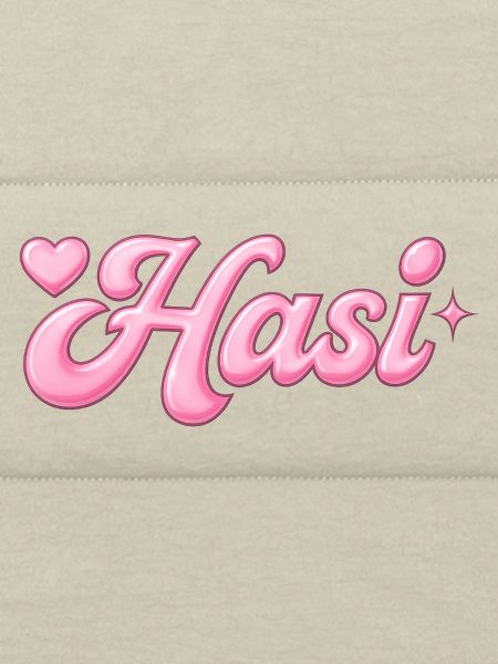 Hasi / y2k design