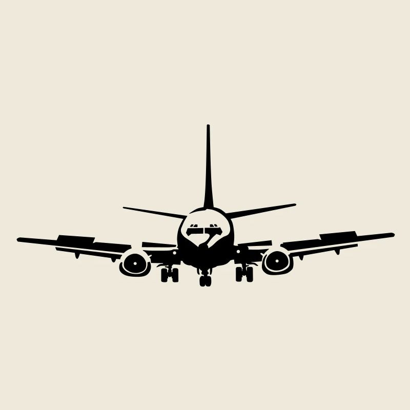 _737_1