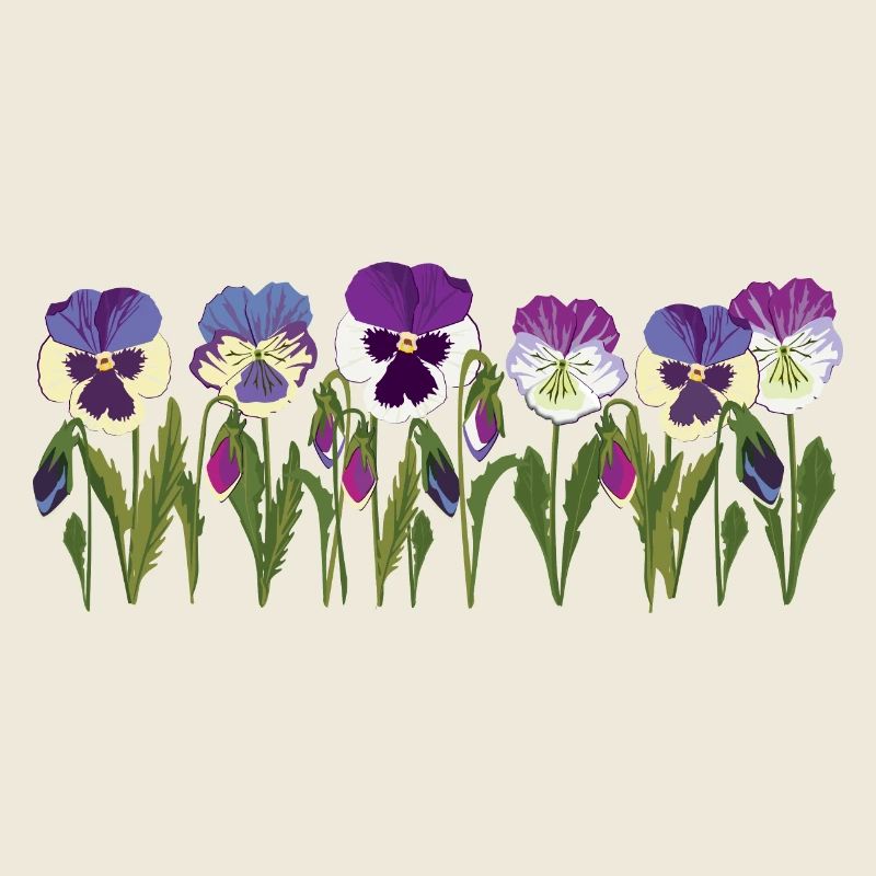 Rangée de fleurs de pensée en violet