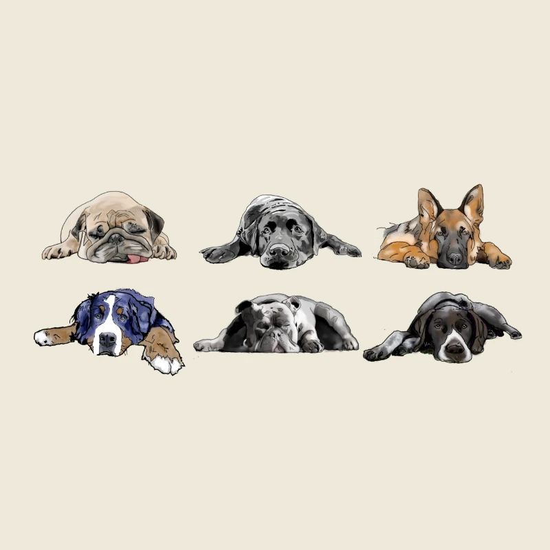 Mops Labrador Schäferhund Berner Bulldog Pointer