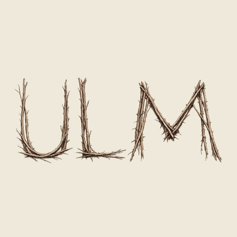 Lettrage ULM avec des brindilles posées par le moineau