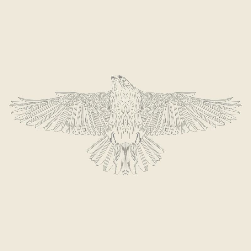 Digital Falcon – Modern Line Art in Grau