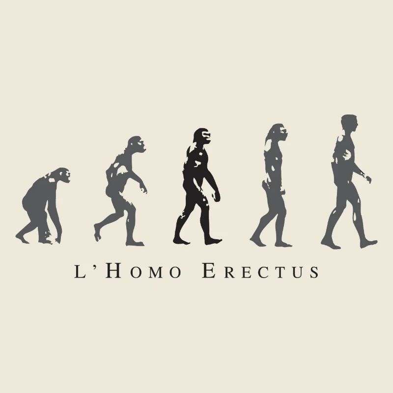 Evolution der menschlichen Haltung