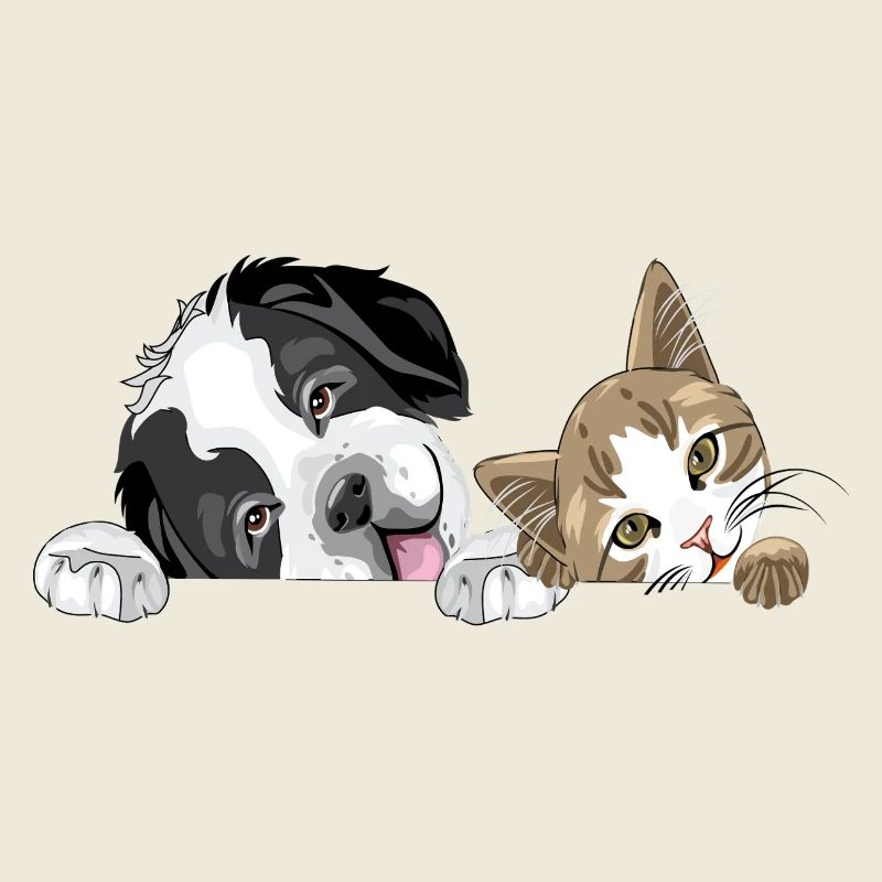 Cat and dog