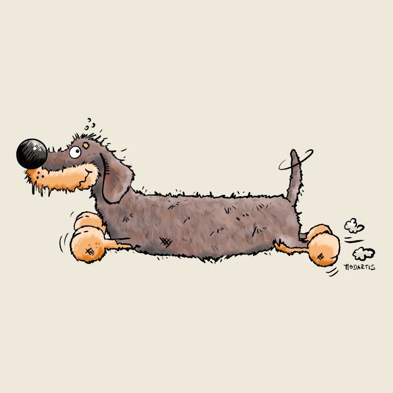 Drôle Dachshund