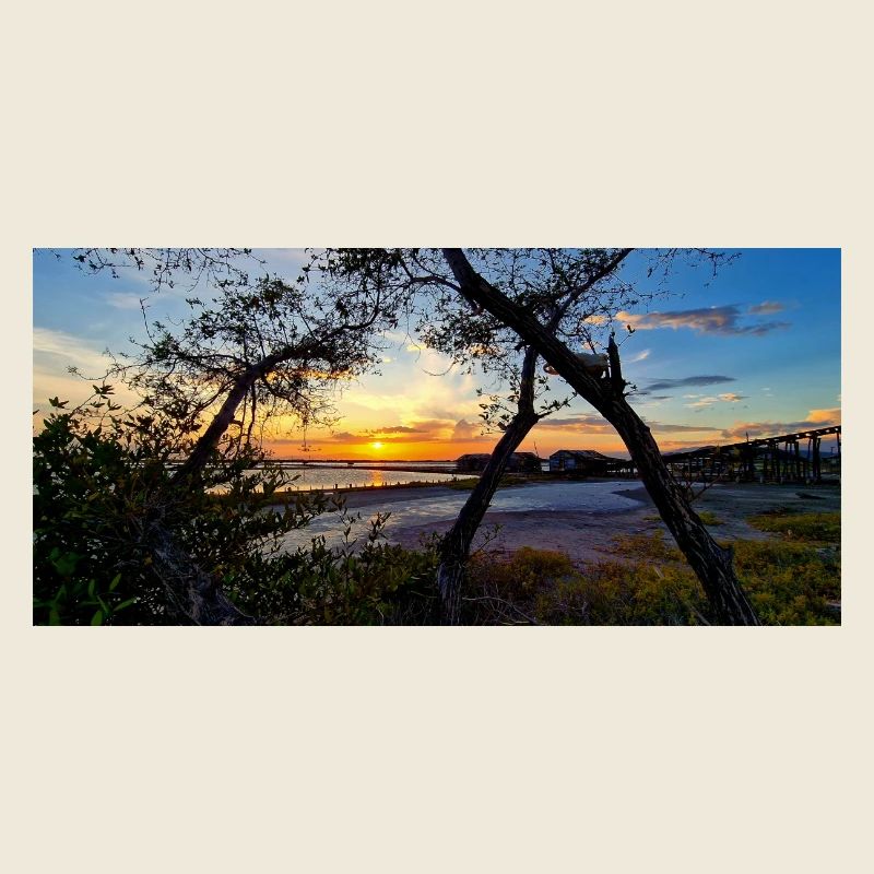 Coucher de soleil sur la nature sauvage