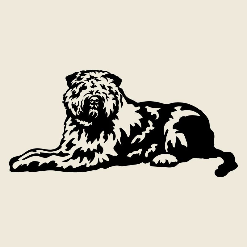 Bouvier de Flandres