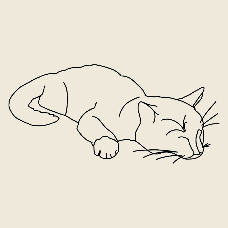 Croquis du chat endormi