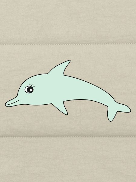 Dolphin Dolphins