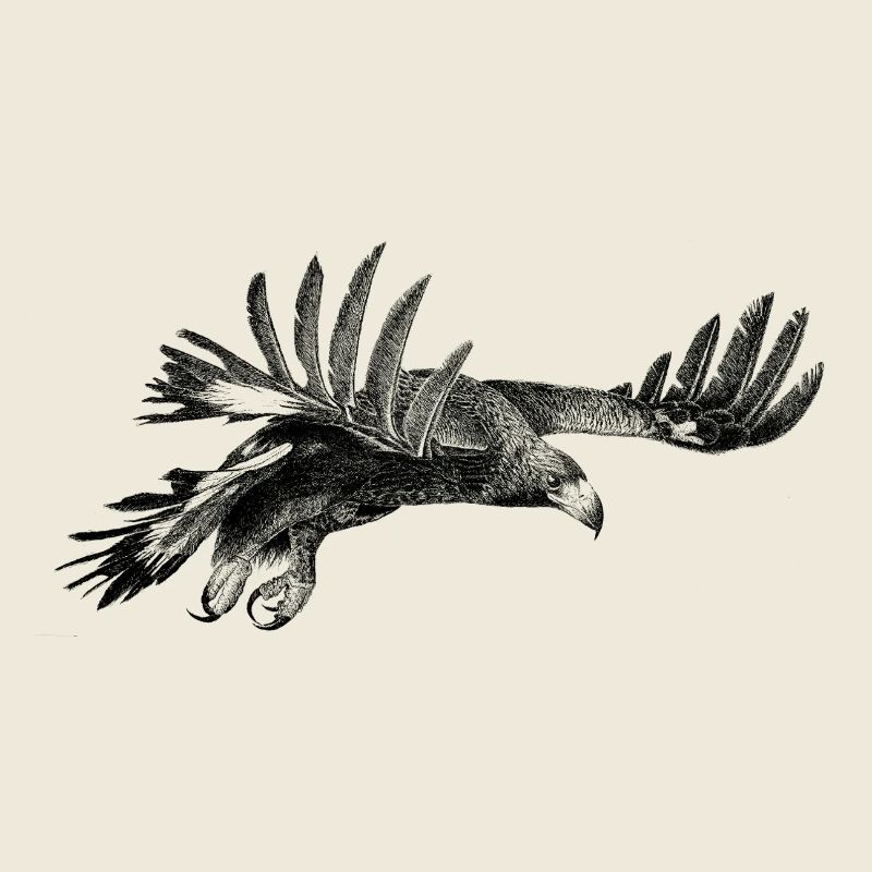 L’Aigle