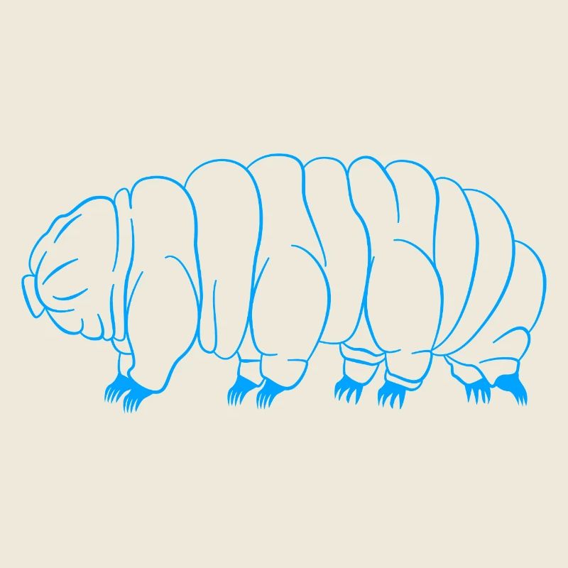 Tardigrade Ours d’eau tardigrade Tardigrade