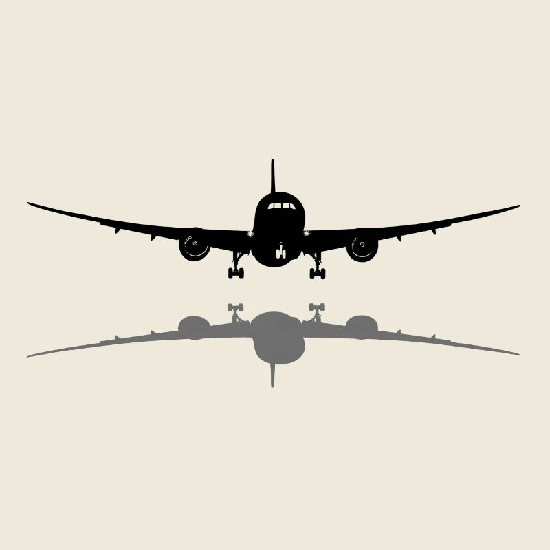 Avion de ligne