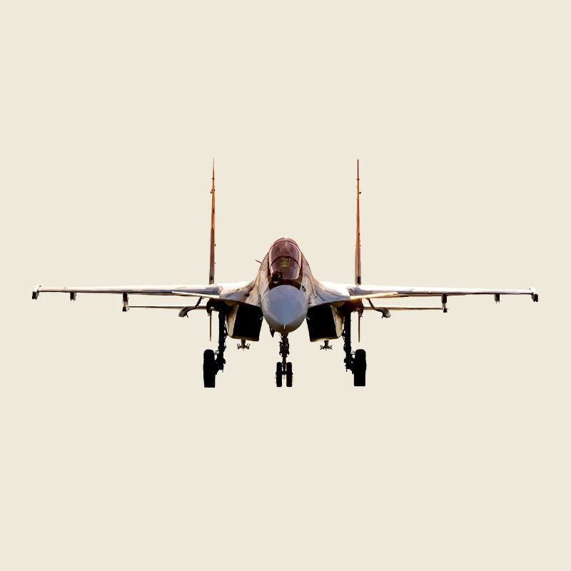 Su-30 SM