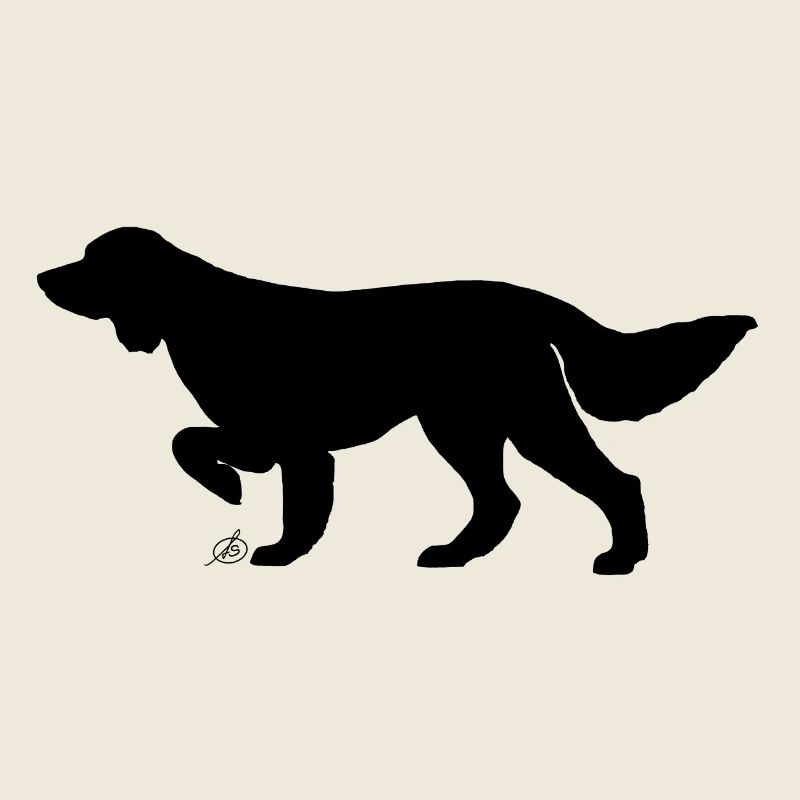 Chien de pointage à poil long