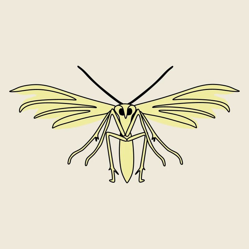 Feather moth