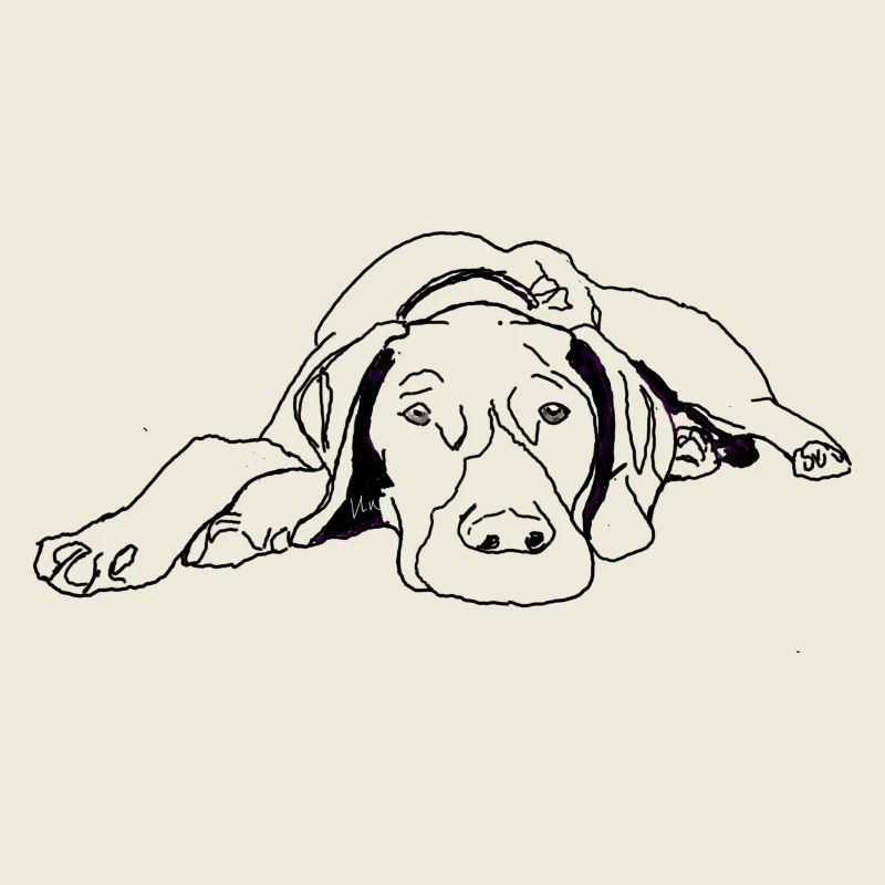 Pointer German Shorthair