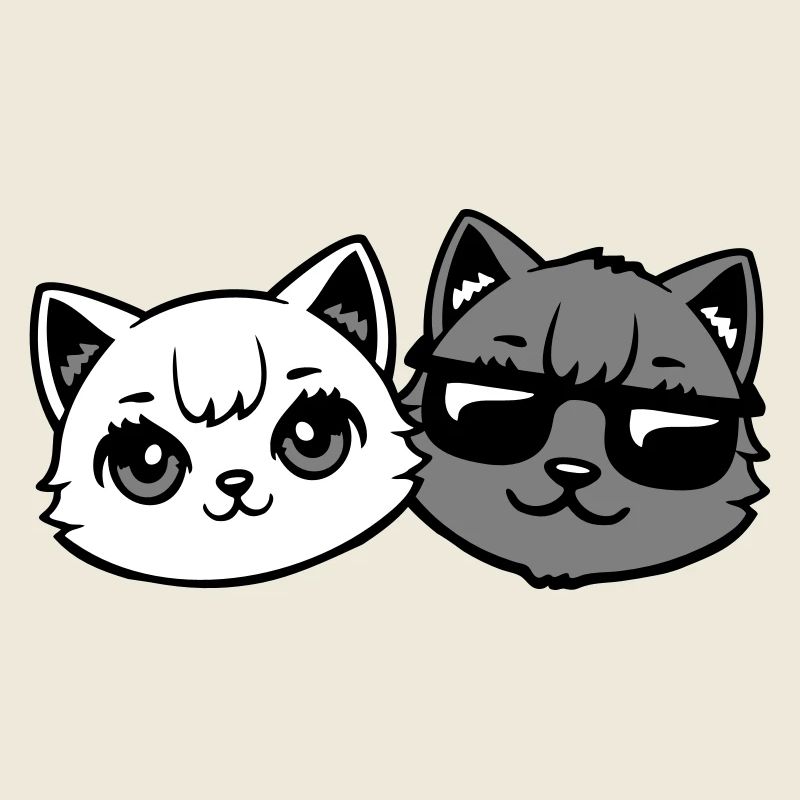 chatons mignons cool couple mâle chats noirs et blancs