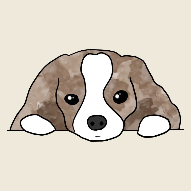 Hund