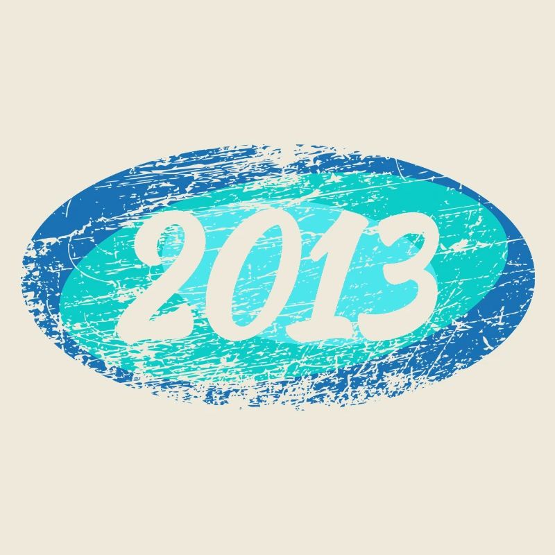 2013 2013