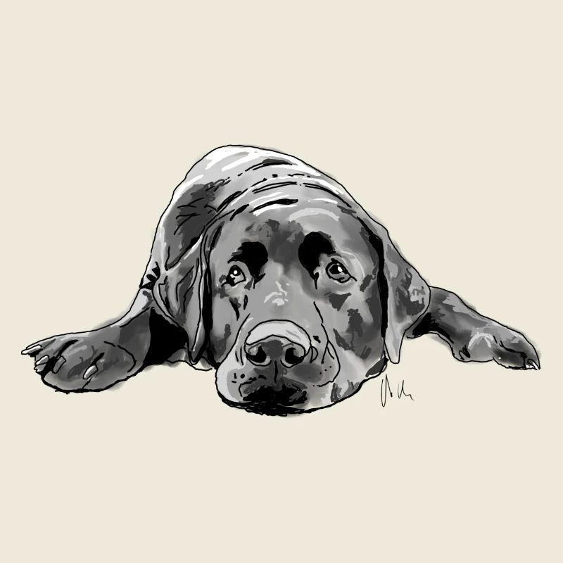 Labrador