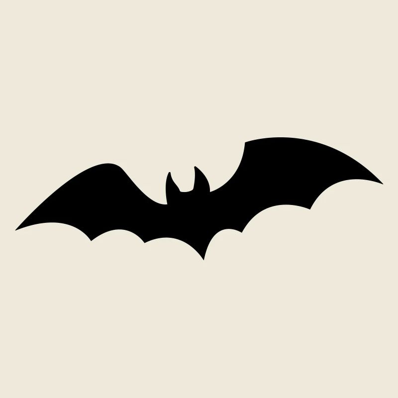 Fledermaus