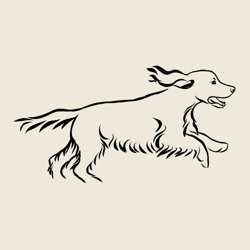 Cocker spaniel