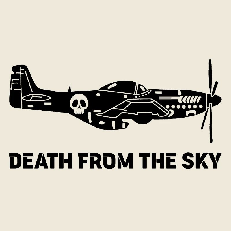 Avion de combat vintage (noir)