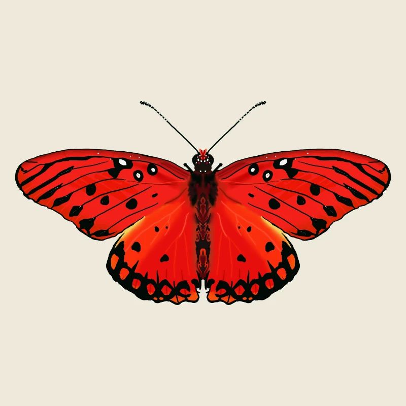 Fiery red butterfly