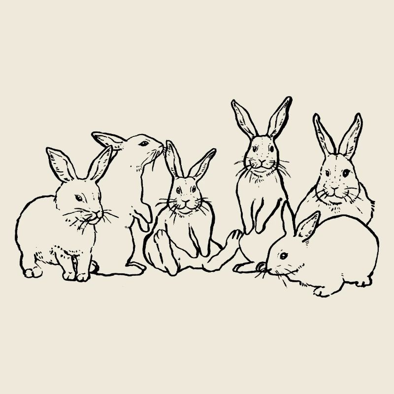 BANDE DE LAPINS