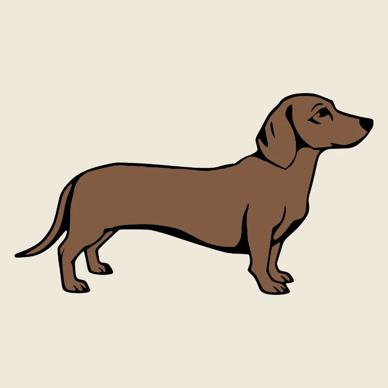 T-shirt chien teckel cadeau