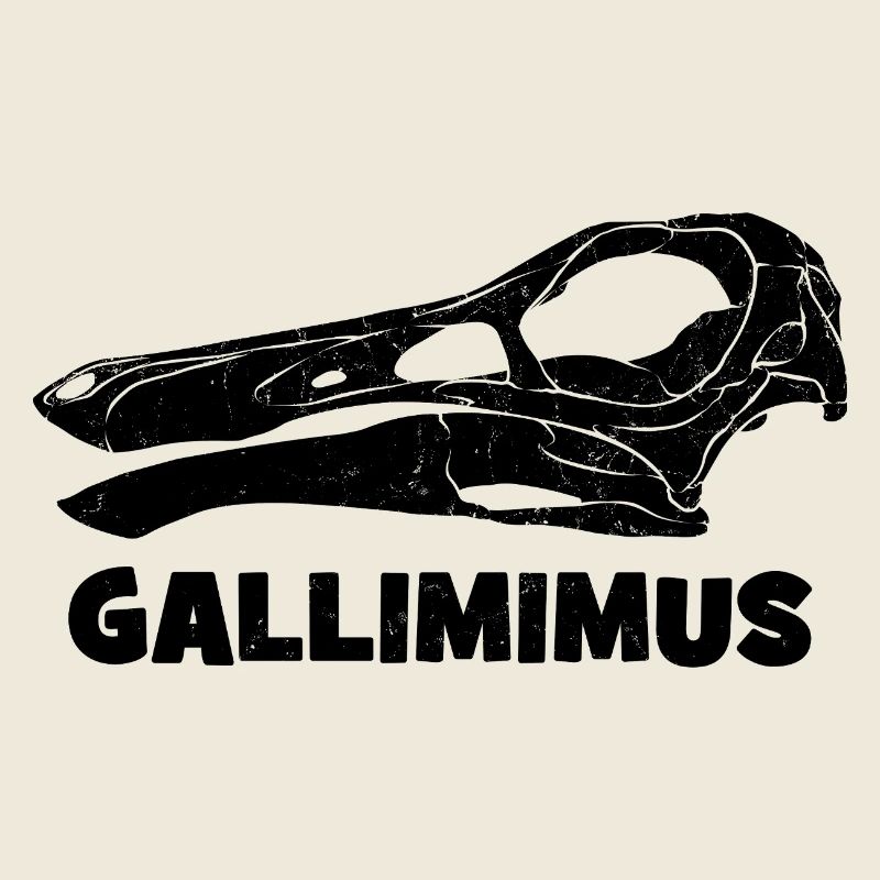 Fossile de crâne de Gallimimus