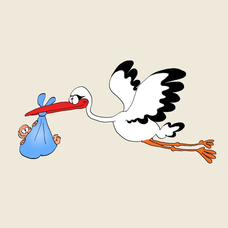 Storch