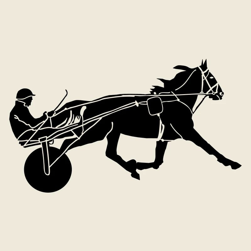 Equestrian racing