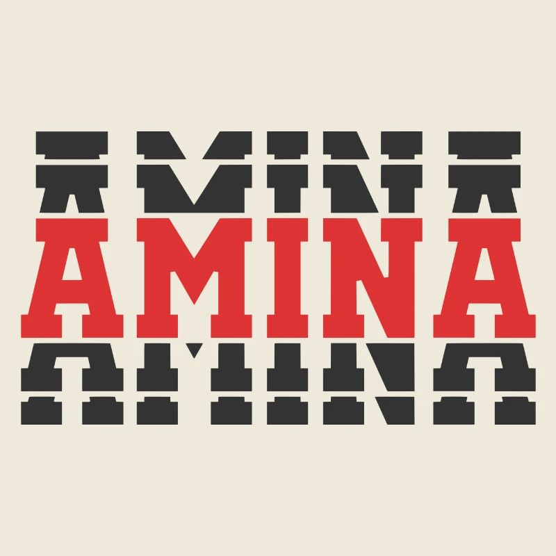t-shirt Amina t-shirt gift idea stacked text