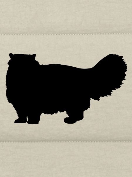 Perserkatze