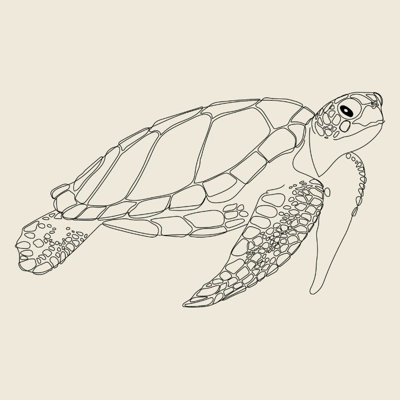 Tortue marine