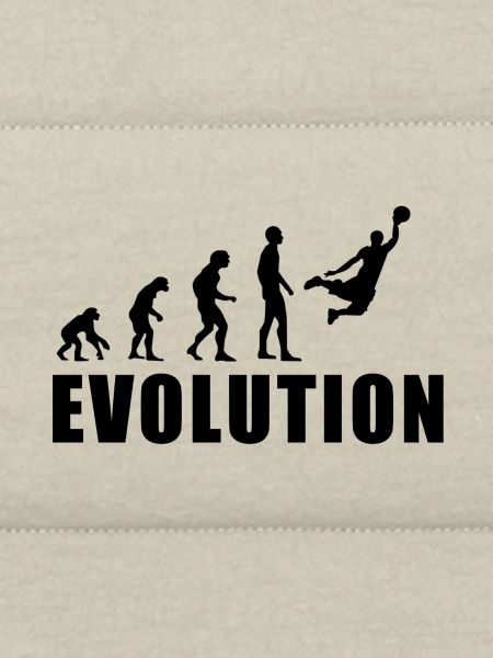 EVOLUTION BASKET Geschenk Basketball